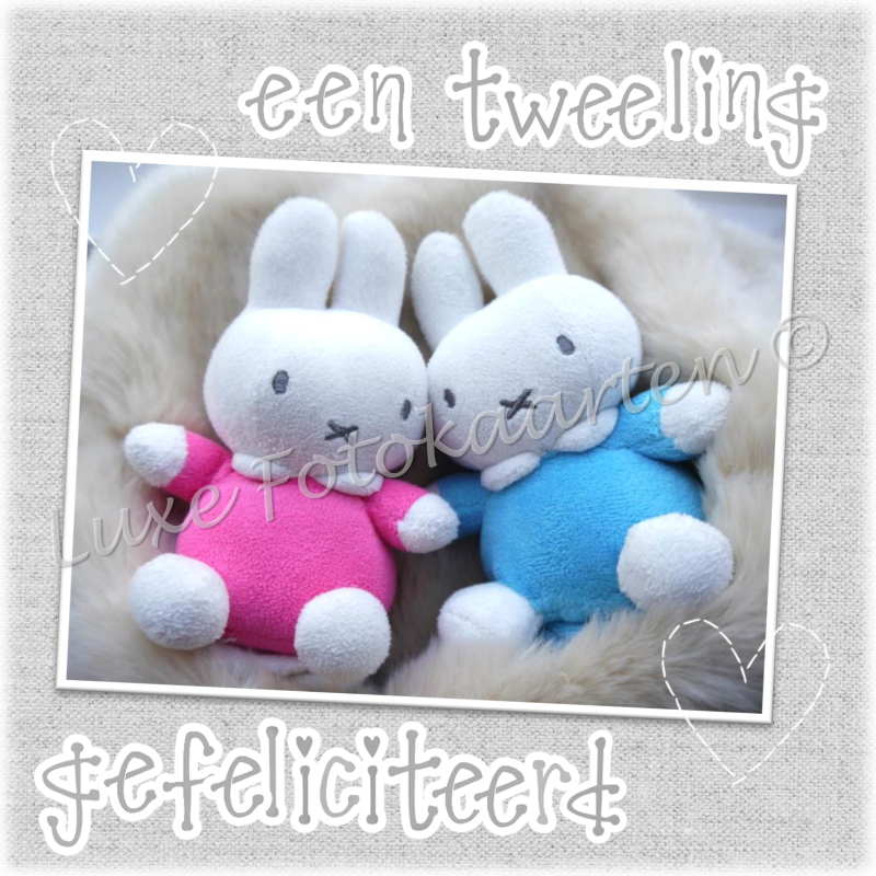 Geboorte Tweeling - zoon en dochter